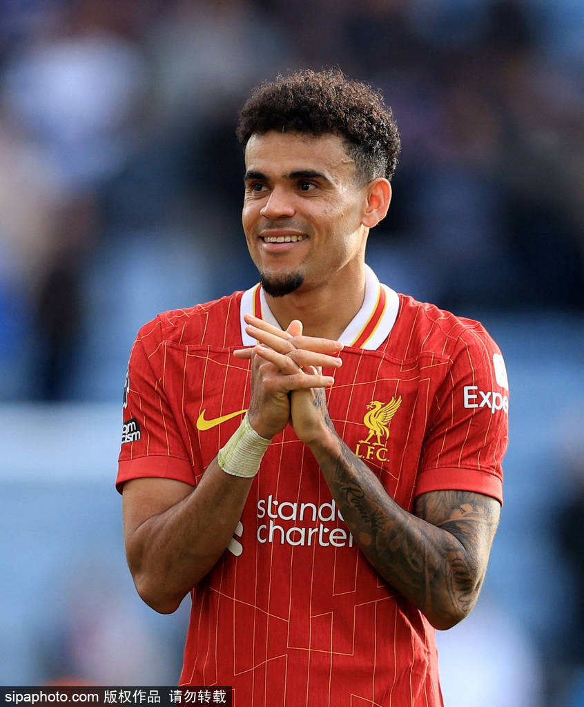 国女子排球 国女子排球