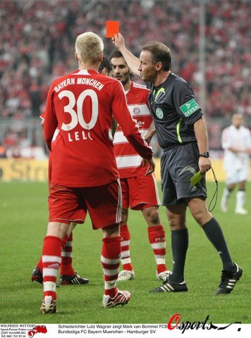 采颇为相似 采颇为相似